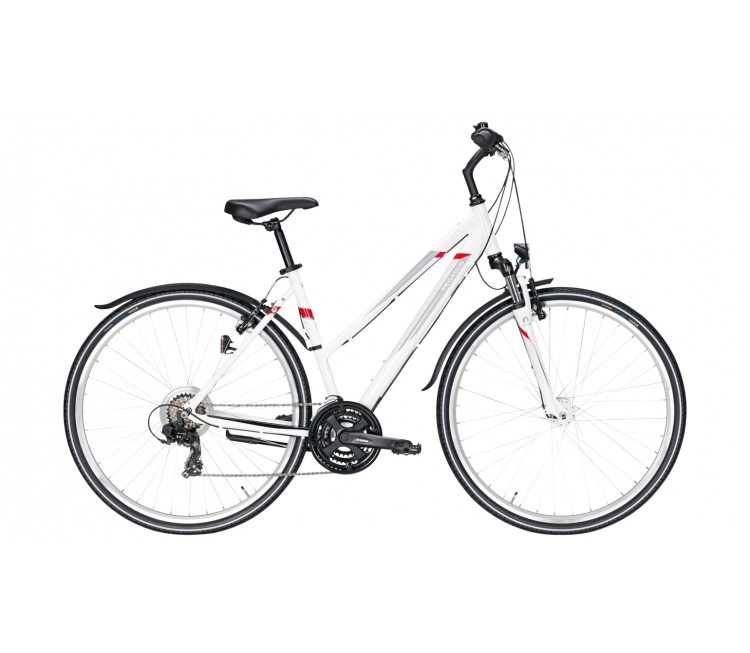 Pegasus velo sales