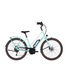 VELO PEGASUS ORTICELLO
