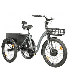TRICYCLE ELECTRIQUE LEADER FOX 2