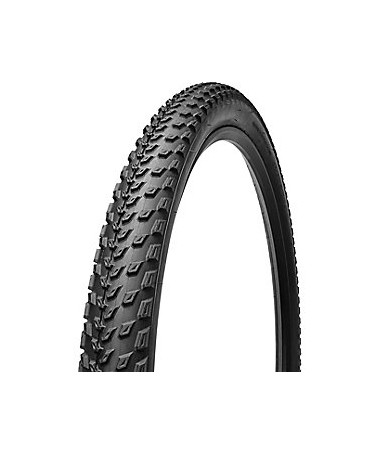 FAST TRAK CONTROL 2BR TIRE 29X2.3