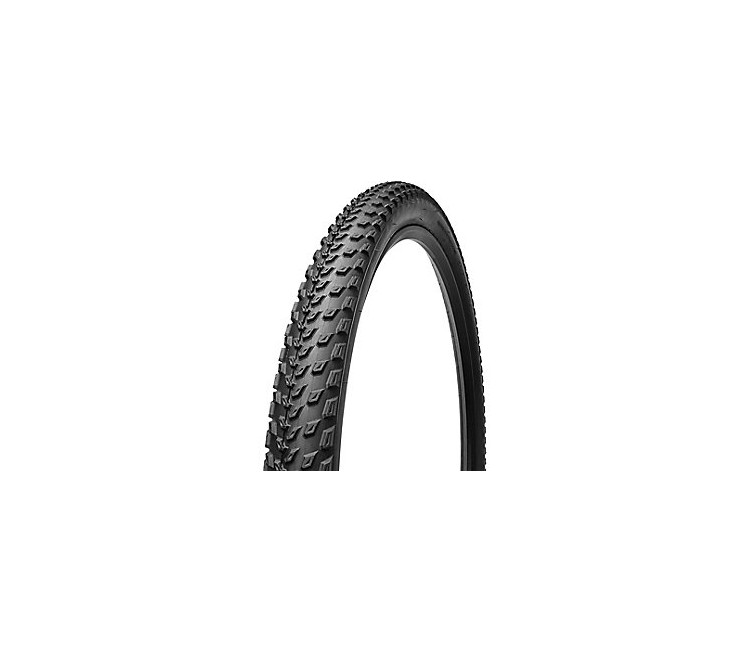 FAST TRAK CONTROL 2BR TIRE 29X2.3