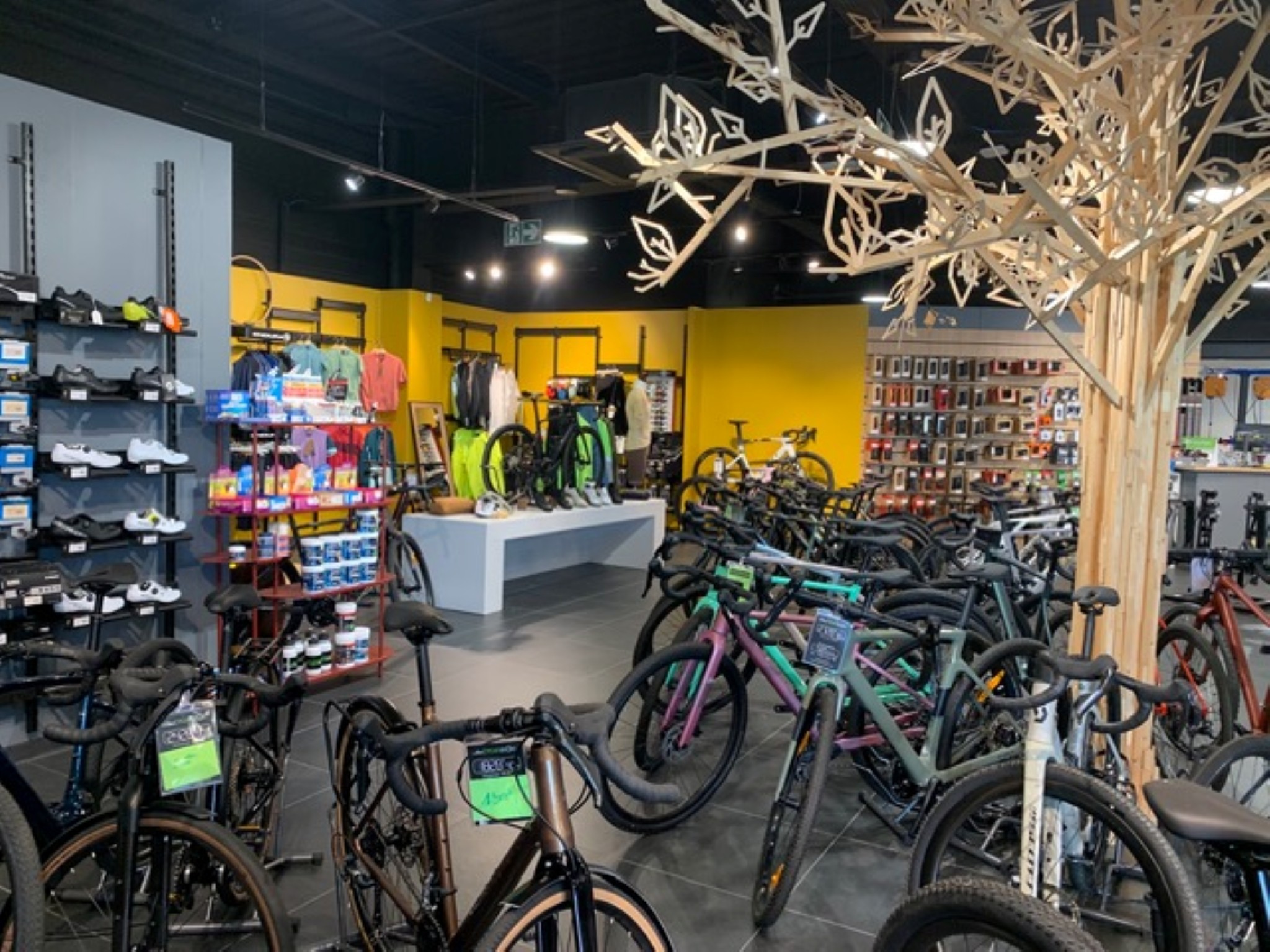 L'équipe Cycles du Loir