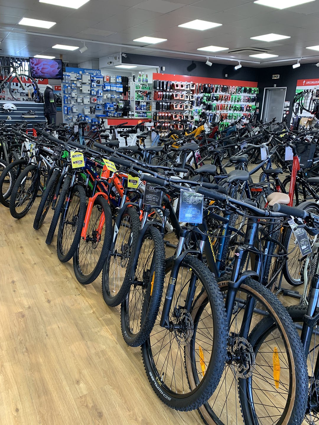L'équipe Cycles du Loir